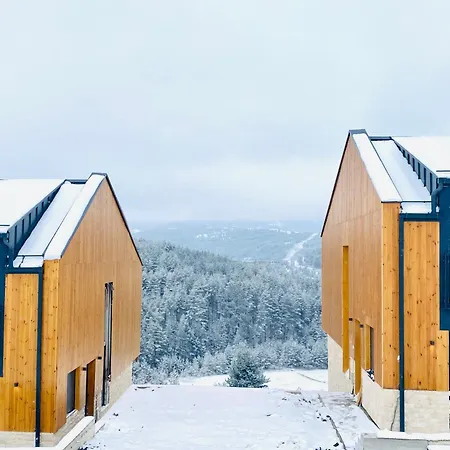 Tornik View Zlatibor Villa