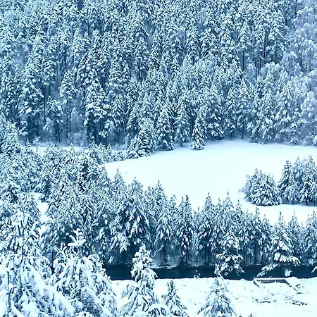 Tornik View Zlatibor Villa *