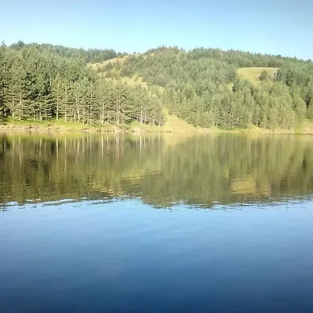 Tornik View Zlatibor Villa *